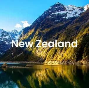 Academic Writing New Zealand